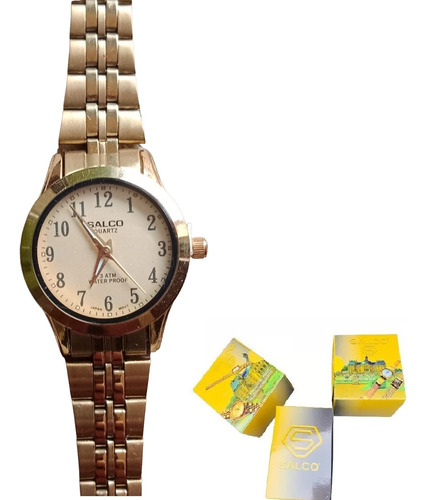 Reloj Análogo Salco Japan Quartz Mujer Pulso Acero + Estuche