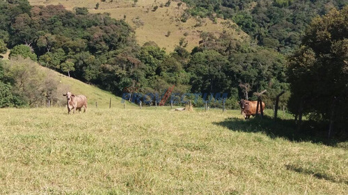 Imagem 3 de 4 de Sítio À Venda Em Bairro Da Posse - Si243855