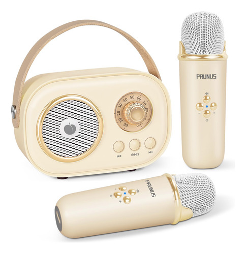 Mini Máquina De Karaoke Bluetooth Con 2 Micrófonos Inalámbri