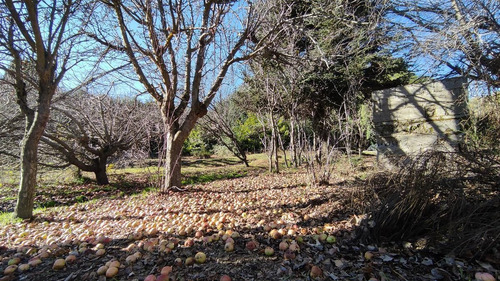 Imagen 4 de 8 de Terreno - Villaverde