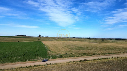 Venta De Campo De 150 Hectáreas En Curva Matonte Florida