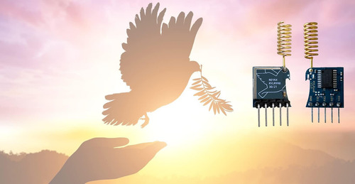 Módulo Lora Reyax Rylr998 Hart Interface 868/915 Mhz Com Ant