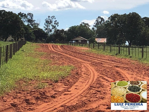 Imagem 6 de 14 de Fazenda À Venda Em Santa Rita Do Pardo - Ms - 650 Hectares (pecuária) - 1657