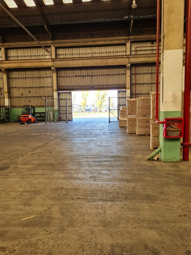 Imagen 13 de 19 de Nave Logística - Industrial 1.500 M² En Predio Cerrado