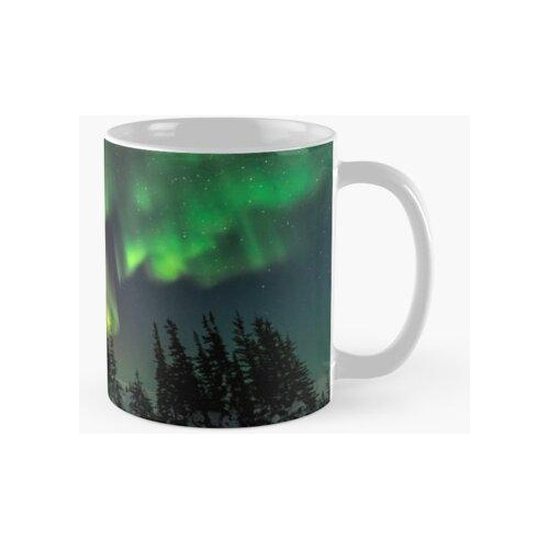 Taza Aurora Calidad Premium