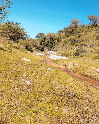 Imagen 2 de 15 de Campo Calmayo