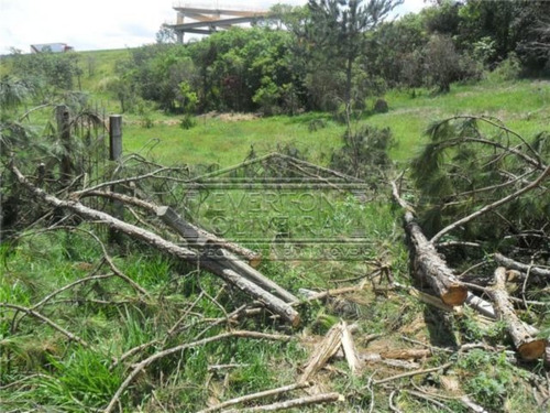 Imagem 5 de 5 de Chacara - Veraneio Ijal - Ref: 1263 - V-1263