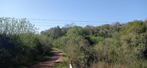 Imagen 5 de 5 de Campo En Venta -24 Ha- Col. Mártires -misiones