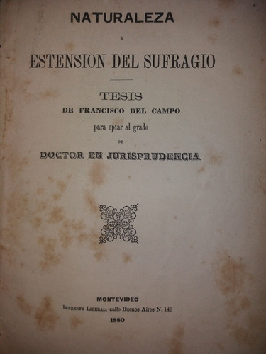 Tesis Francisco Del Campo 1880 Naturaleza Extensión Sufragio