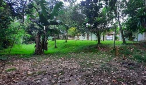 Imagem 9 de 14 de Chácara Rua Calçada Com Frutas Em Itariri | Aceita Financiar