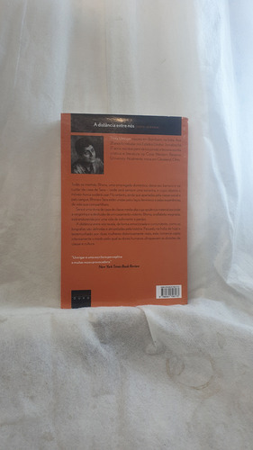 Livro A Distância Entre Nós - Edição De Bolso - Thrity Umrigar - Editora Pocket Ouro (Usado)