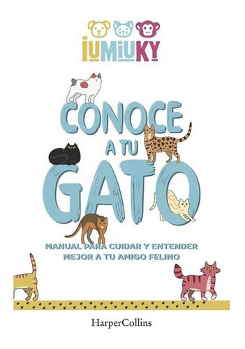 Conoce A Tu Gato