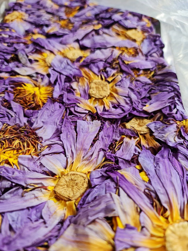 Flor De Loto Azul, Nymphea Caerulea, 50 Gramos.