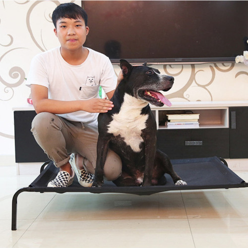 Cama Elevada Altura Para Mascota Perro Gato Talla L - Wuf