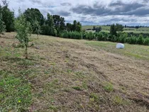 Comprar Parcela En Loteo Alto Maullín  Naturaleza Y Conectividad