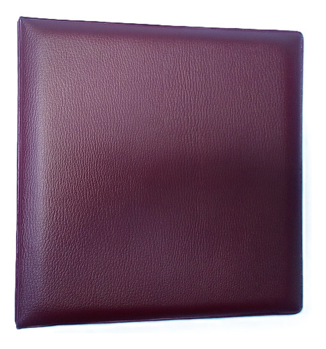 Carpeta Con 10 Folios Para Monedas - Numismatica