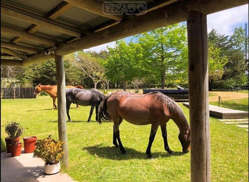 Venta Terreno Campo Chacra Hotel Posada Ruta 104 Piscina Parrillero Jardín Estufa A Leña Manantiales Punta Del Este Maldonado