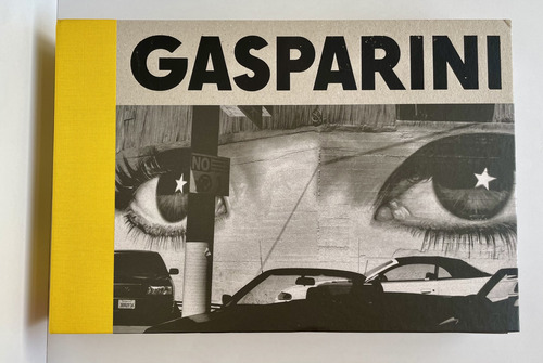 Libro Paolo Gasparini (Usado)