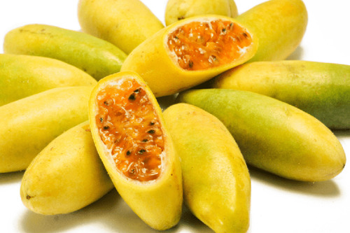 Planta De Tumbo, Curuba, Taxo (passiflora Tripartita) Frutal