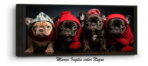 Cuadro Canvas Cachorros Bull Dog Navidad Marco Inglés 120x60