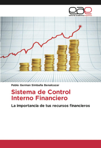 Libro: Sistema De Control Interno Financiero: La Importancia