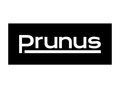 Prunus
