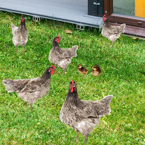 Yard Arts Hen Lawn Ornament Backyard Chicken Garden Style A