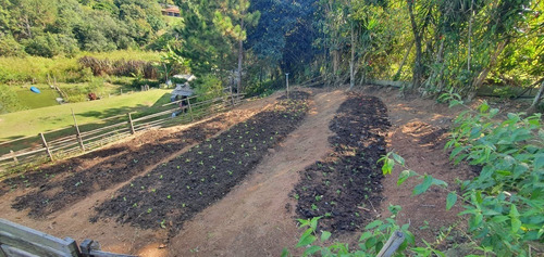 Imagem 17 de 30 de Chácara 5053m2, Casa Sede Com 135m2, 1 Suíte Com Closet, Varanda, 1 Casa De Madeira Com 70m2, 3 Dormitórios, Piscina, Churrasqueira, Lago, Campo Grama - Ch00158 - 70130094