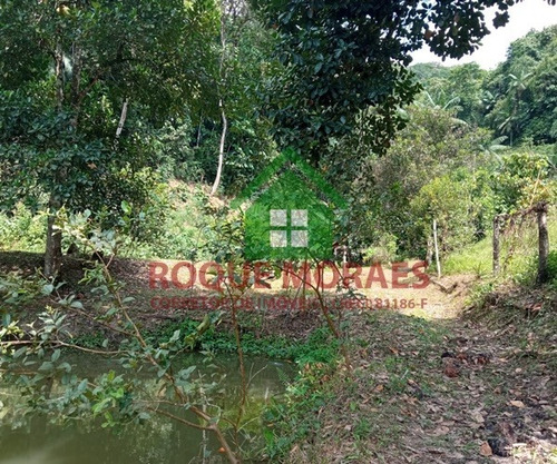 Imagem 7 de 30 de Sítio Medindo 34.000 M² No Vale Do Ribeira Sp Ref.: 0898