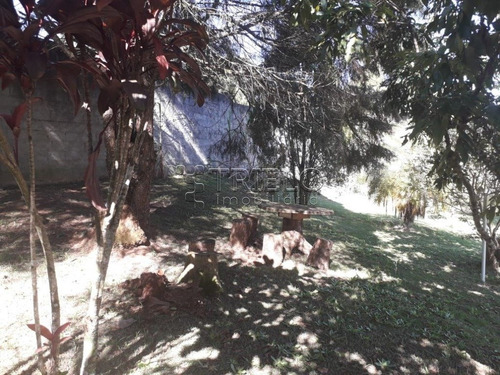 Imagem 13 de 15 de Venda Chacara -linda Chacara Com Pomar, Campo De Futebol- Mogi Das Cruzes - V-2842
