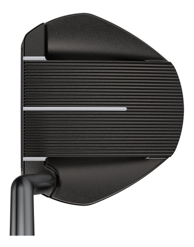 Imagen 2 de 6 de Golfargentino Putter Ping 2021 Fetch