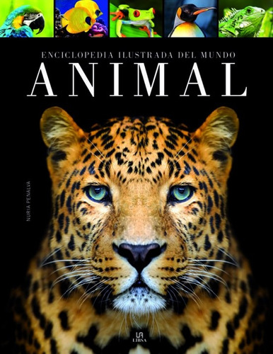 Enciclopedia Ilustrada Del Mundo Animal  - Varios Autores