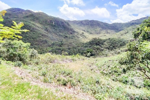 Imagem 2 de 15 de Lote Em Condomínio À Venda No Quintas Do Morro - Código 274817 - 274817