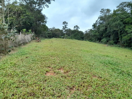 Imagem 3 de 5 de Terreno Para Venda Em Aruja