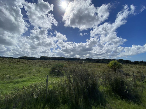 Venta Chacra 10 Hectáreas Ruta 104 Manantiales