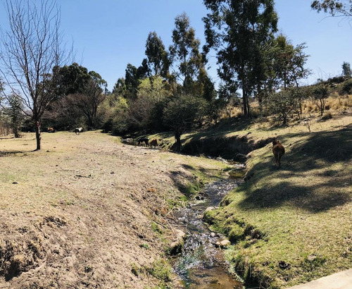 Imagen 6 de 30 de Venta Terreno - La Falda, Club De Campo Los Tres Arroyos