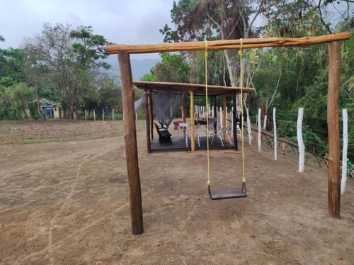 Imagen 11 de 20 de Oportunidad Finca Agro Industrial En Bejuma, Ryes Arriba, LG