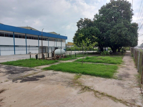 Imagen 3 de 19 de Galpón En Alquiler En Carretera Nacional Los Guayos Guacara 3640 M2 Liliana Martinez Cd 158630