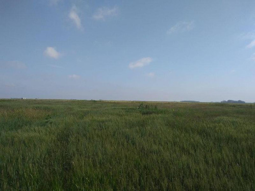 Imagen 1 de 7 de Campo En Venta En Balcarce