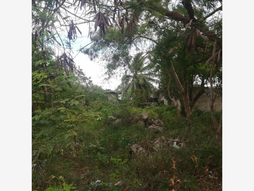 Imagen 13 de 14 de Venta Terreno Del Bosque