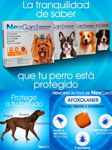Nexgard La Mejor Protección Precios Más Bajos Y Originales.