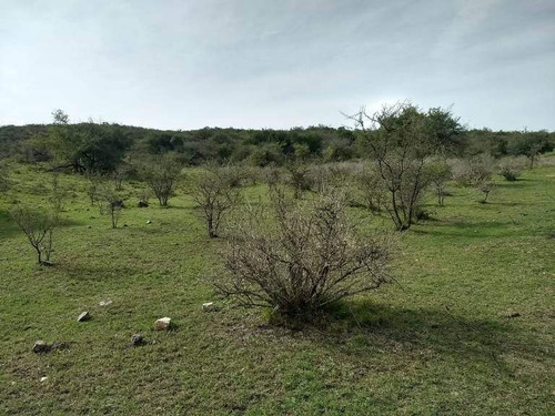 Imagen 10 de 29 de Venta Campo Falda Del Cañete-8,5 Has- Con Vista