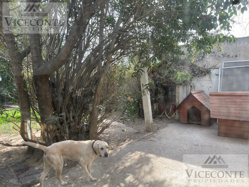Casa 135 M2 Calle Rojas Nº 576 E/ Almafuerte Y Jose Hernandez, Brandsen.
