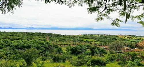 Imagen 10 de 18 de Terreno En Venta Junto A La Ribera Del Lago De Chapala (tux