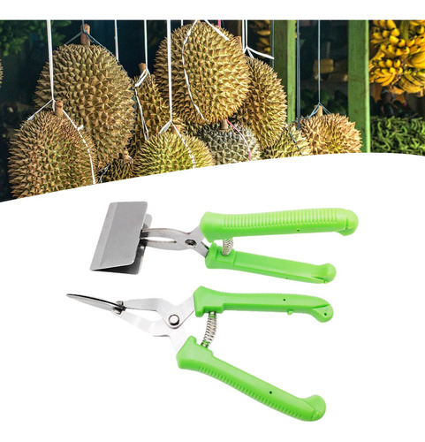2x Abridor De Durian, Herramienta Para Romper La Cáscara De