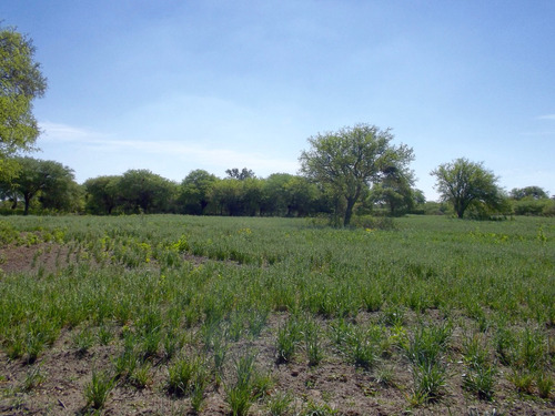 Casa Y Campo 4 Hectáreas, 150 Mts Cubiertos. Plantación De Tunas En Producción. Oportunidad Venta/permuta