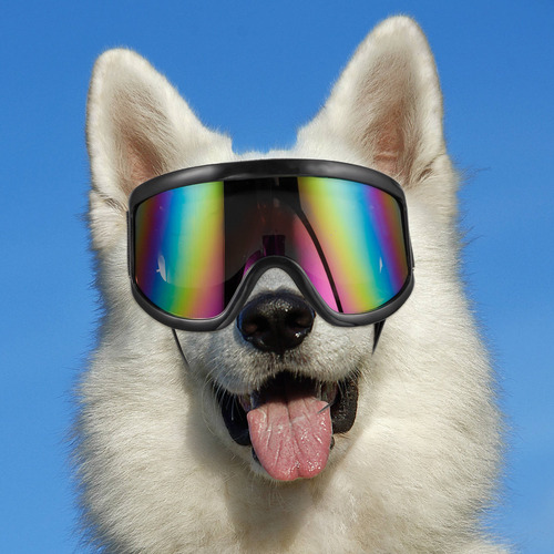 Gafas De Sol Para Perros, Protección Uv, Gafas Para Mascotas
