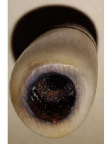Pipa Herbal Fumar O Filtro Recto Para Tabaco Madera Y Marmol