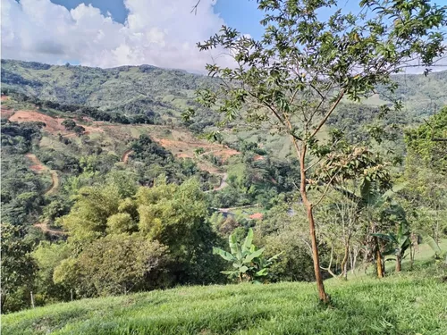 Lote En Venta, Los Cedros, Cocorná