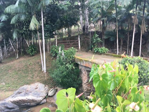 Imóvel Com 46 Alqueires Em Miracatu - 4726 | A.c.m